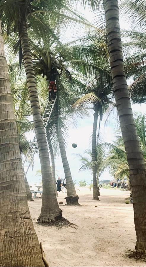 Jungle Beach Resort Sanyang Eksteriør bilde